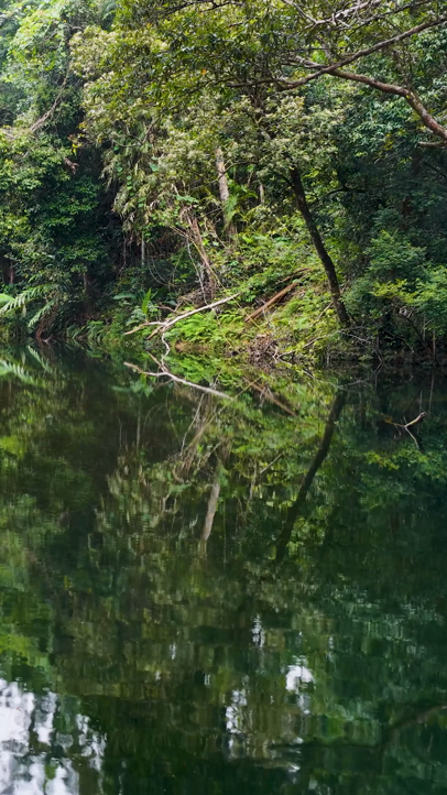 Calm river with forest reflection representing mindfulness